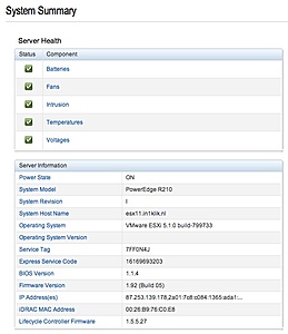 Dell R210-screen-shot-2013-06-18-12-40-21-jpg