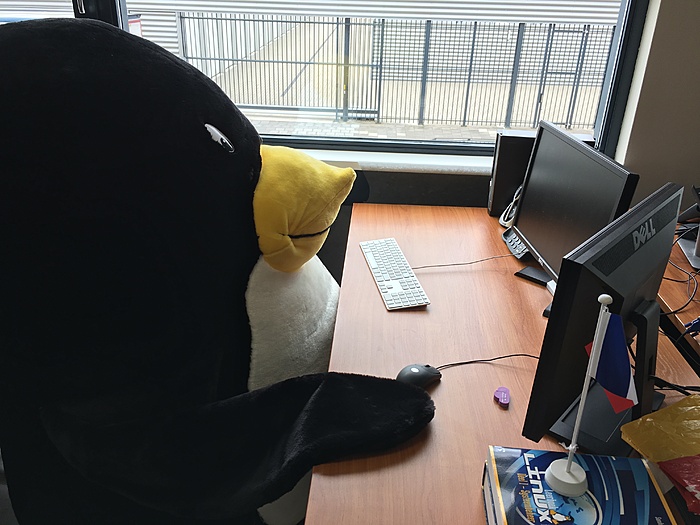Zeer grote teddybeer pingu&iuml;n Linux tux mascotte aangeboden-2016-09-02-14-01-11-hdr-jpg