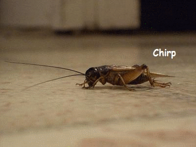 Gratis op te halen in rotterdam!-giphy-gif