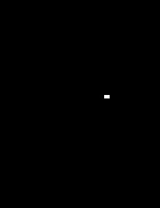[TKG] Dual Opteron 244-200511345-1-pdf