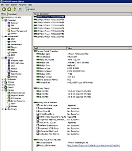 [TK] Heavy Duty IBM eServer xSeries 346-memory_everest-jpg
