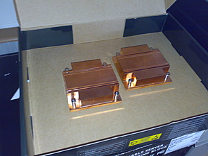 [TK] Allerlei-08042008427-jpg