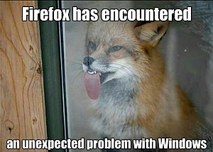Grappige e-mails/momenten!-firefox-jpg