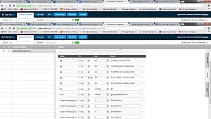 Transip domeinnaam via CNAME koppelen aan een DNS Wildcard subdomeinnaam-dns-jpg