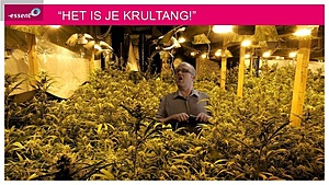 Grappige e-mails/momenten!-image-jpg