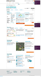 De jaarcijfers bekeken: Openprovider-xcat-jpg