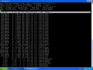 High server load-top2-jpg