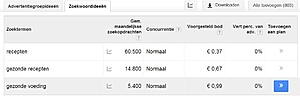 Website: www.receptengezondevoeding.nl + 1 uur ondersteuning via Skype-printscreen-zoektermen-jpg