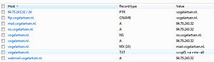 Leaseweb Nameservers (DNS) instellen-leaseweb-dns-instellingen-jpg