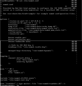 Named 9.8.2rc1 werkt niet meer.-cadnamed-png