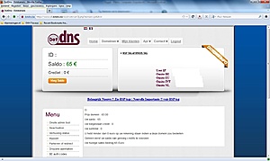 Ongelofelijke bugs bij DotDNS!-dotdns-jpg