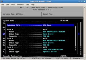 Dell R200 solproxy remote console-3-bios-png