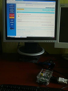 Raspberry Pi Model B beta kopen?-framboos-jpg