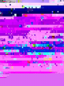 De kerstboom-boompje-jpg