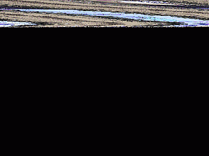 Plaats een foto van je rack/servers/datacenter-servers-gif