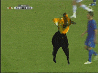 Feli Domenico!-zidane5-gif