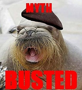ISPgids.com gehacked-busted-jpg