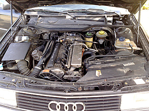 Wat voor auto rij je-27092009526-jpg