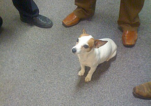 StorageExpo / LinuxWorld-watchdog-jpg