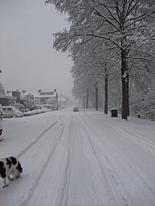 Het mooie winterweer van Nederland-dscf2060-jpg