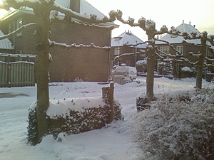 Het mooie winterweer van Nederland-210er10-jpg