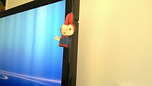 Wat heb jij aan je Tv hangen deze winter ?-20101120_001-jpg