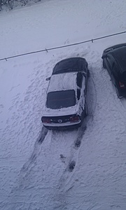 Nederland onder het sneeuw-imag0177-jpg