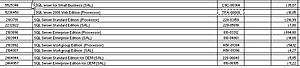 SQL Server SPLA-screenhunter_01-jul-16-21-11-jpg