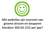 Goedkoop, snel en betrouwbaar!-groenstroom-png