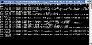 2e client wil niet connecten "Read UDP4 Connection Reset By Peer"-error-jpg