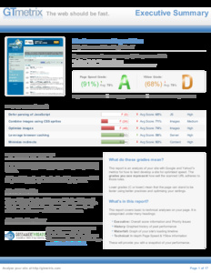 Iets mis met profielpagina-gtmetrix-report-www-webhostingtalk-nl-20140118t064513-zjouicgb-full-pdf