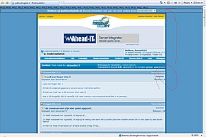 Null Null Null-bug-jpg