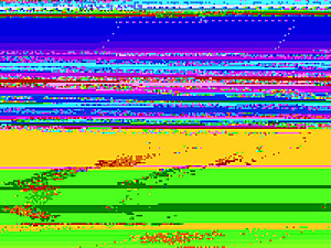 Web2Host.nl-screen-jpg
