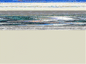Sitecheck: Budgetbytes.nl-temp-gif